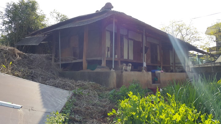 곧 철거될 폐가에 남겨진 아이