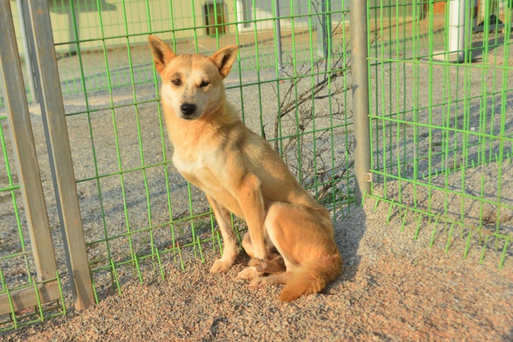 항상 사랑받고픈 마음뿐인 자비