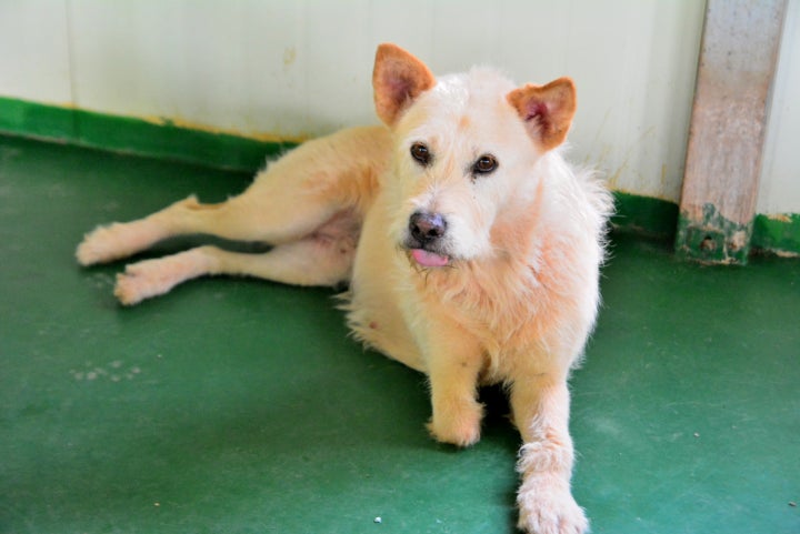 어렸을적 예지는 다리 하나를 잃었고, 이로 인해 병원을 가는 일이 무척이나 많았습니다. 병원의 냄새를 기억하는 이 아이는 그 곳에 들어서면 몸을 바들바들 떨며 두려움을 내비쳤습니다. 그 흔들리던 눈동자를 보고선 품속으로 꼬옥 안아주었고, 함께 다리 상처가 아물도록 기도해주었습니다.