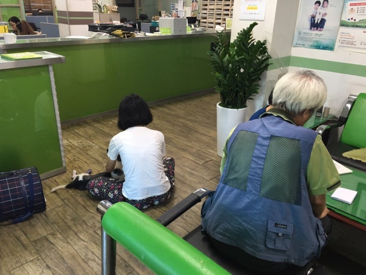 바둑이를 찾으러 오신  아버지와딸