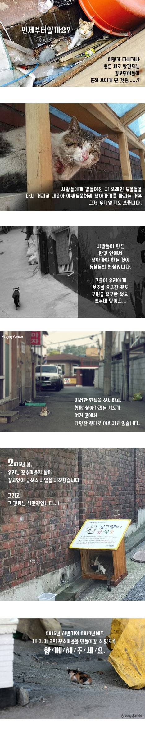 제 2의 장수마을을 만듭니다.(길고양이 급식사업)