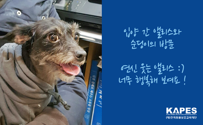 KakaoTalk_20170213_115352982-logo.jpg