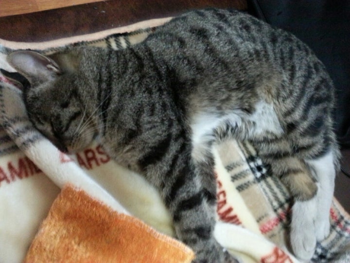 땅지는 많이 아파요