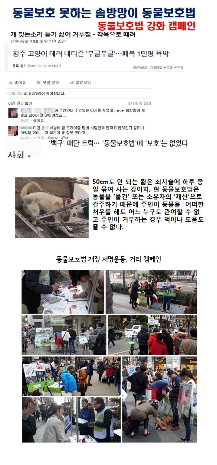 동물을 보호하지 못하는 솜방방이 동물보호법, 동물보호법 강화 캠페인