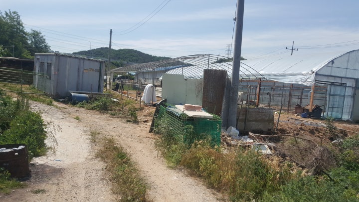 쇠파이프로 기둥만 만들어진상태입니다