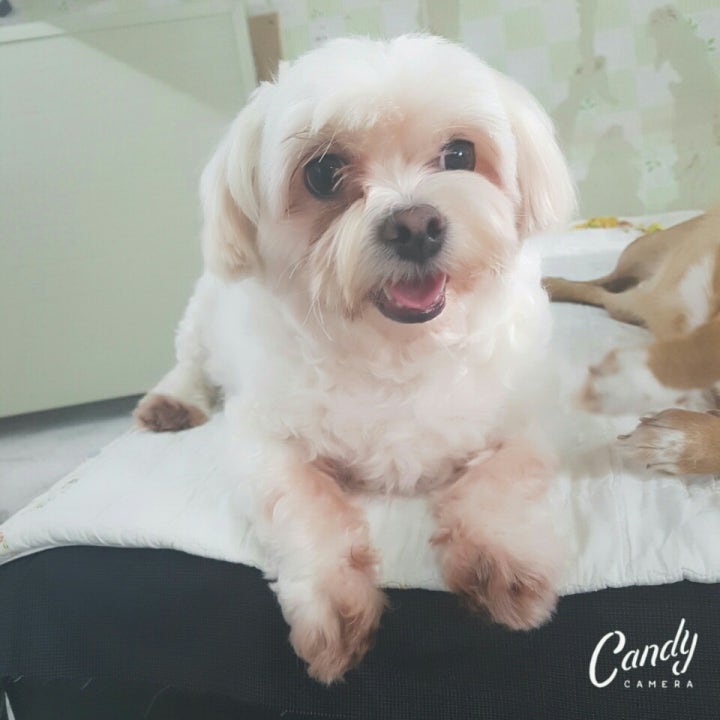 행복한 표정의 연둘이