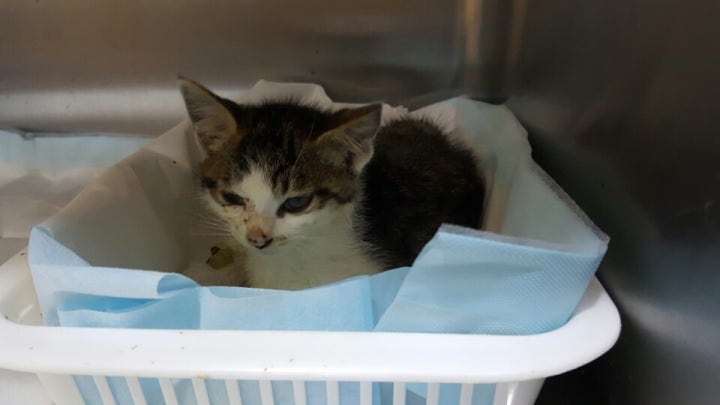 격리되어 입원중인 아이