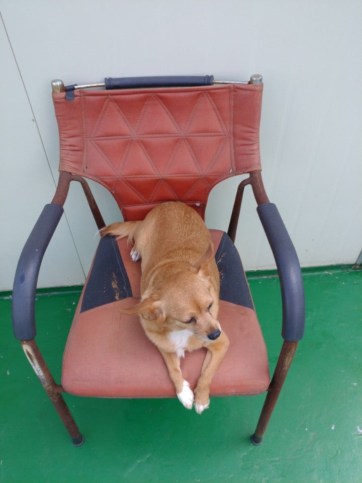 내가 이 구역의 왕이다! 베키