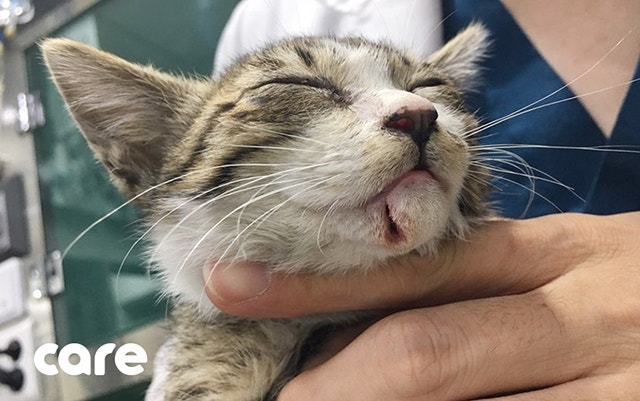 응급 조치를 받고 있는 우비