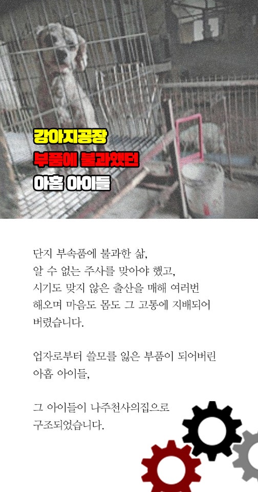 누군가에게 의지하고 싶은 약하디 약한 아이들이었지만, 출산의 고통을, 숨막히는 그 곳의 공기를 아이들 모두 혼자서 꾿꾿히 버텨왔습니다. 그리고 아이들 몸에는 강아지공장의 아픔이 서려있었습니다. 길게 정돈 되지 않은 털을 들어올리면 보이는 상처와 피부병의 흔적, 그리고 눈 밑에 굳어 검은 자국이 남은 눈물자욱까지...br