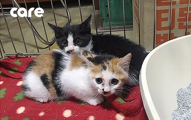 북한산 관리공단에 구조된 직후의 사진