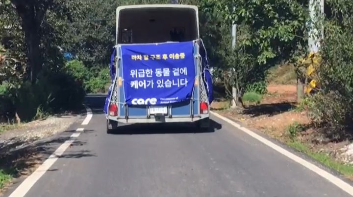 이송 차량으로 구조하는 모습