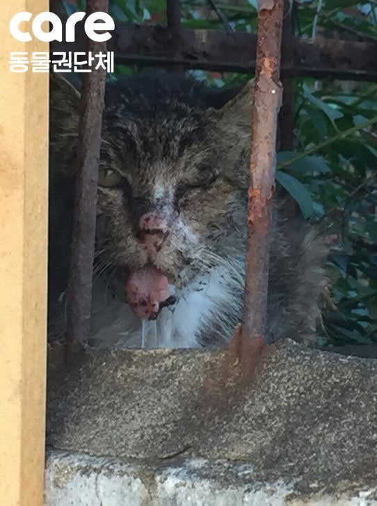 침이 계속 흘러 더러워진 얼굴